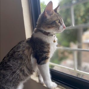 Meet your Posher, Jacqueline